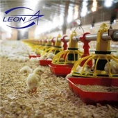Leon Hệ thống cho ăn chảo gà thịt tự động đầy đủ