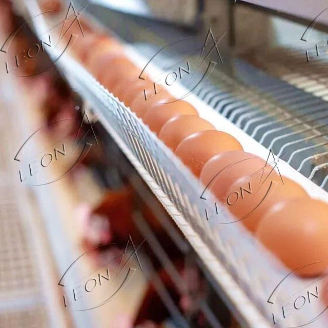 Poultry Equipment Price Layer Cage System In Animal Cages Poultry Equipment Price Layer Cage System In Animal Cages