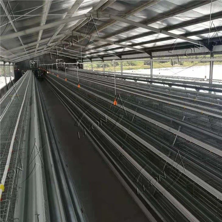 Poultry Housing And Equipment Poultry Housing And Equipment