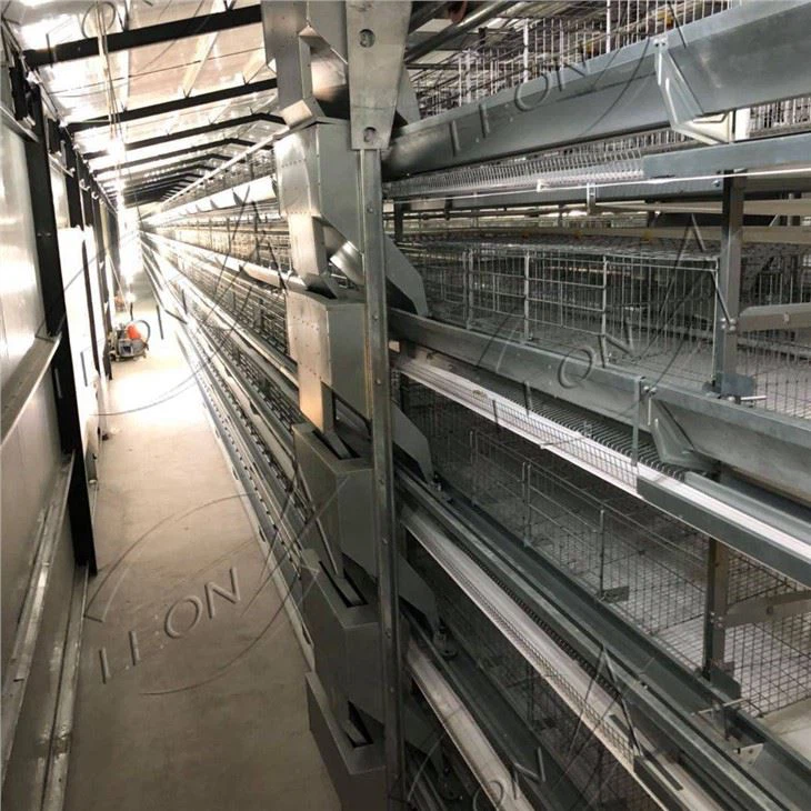 Poultry Housing And Equipment Poultry Housing And Equipment