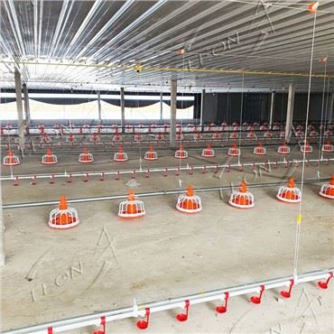 Tự động uống núm vú