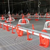 Hệ thống uống núm vú bằng nhựa