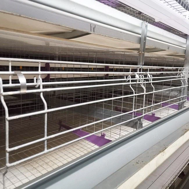 Poultry Farm H Type Layer Chicken Cage